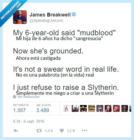 450401 - Puedes pertenecer a Gryffindor, donde habitan los valientes