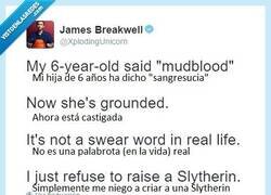 Enlace a Puedes pertenecer a Gryffindor, donde habitan los valientes