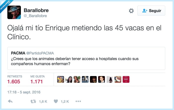 animales,hospital,vacas