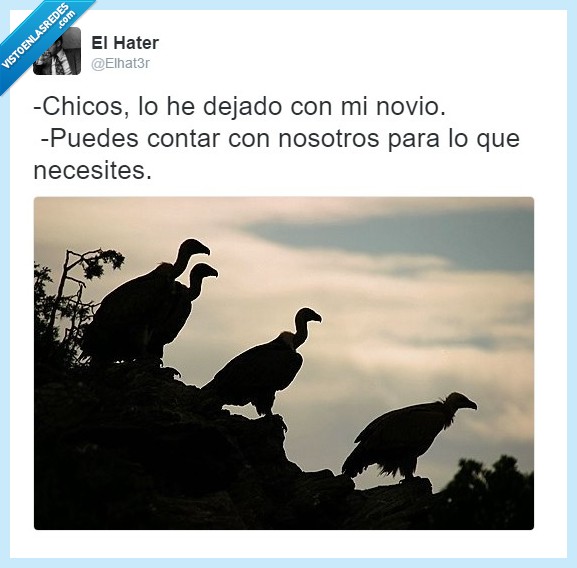 amigos,buitres,parejas,novio