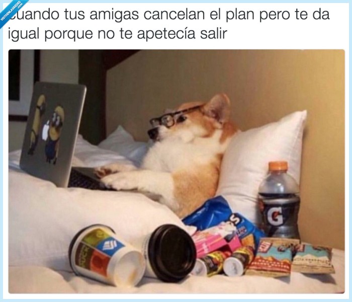 amigas,plan,cancelar