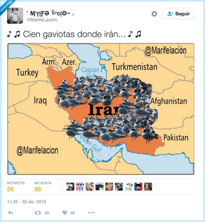 cien,gaviotas,chistaco