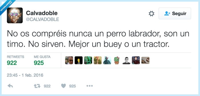 451355 - No labran nada, por @CALVADOBLE