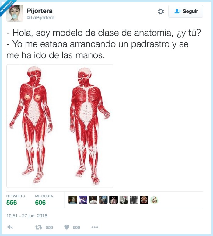 anatomía,cuerpos
