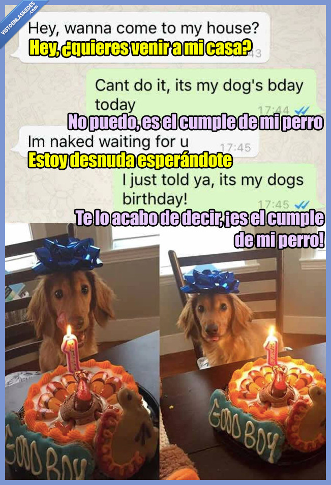 perro,cumpleaños,amigo