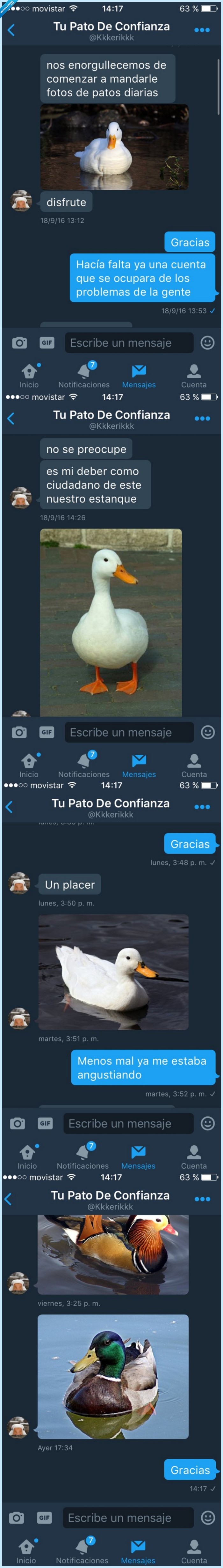 pato,internet,enviar,twitter