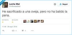 Enlace a Beeeeeeeh, por @milkwasabad