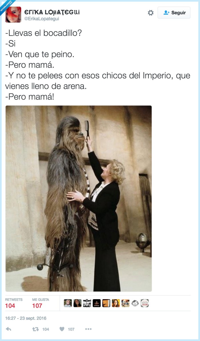 star wars,chebacca
