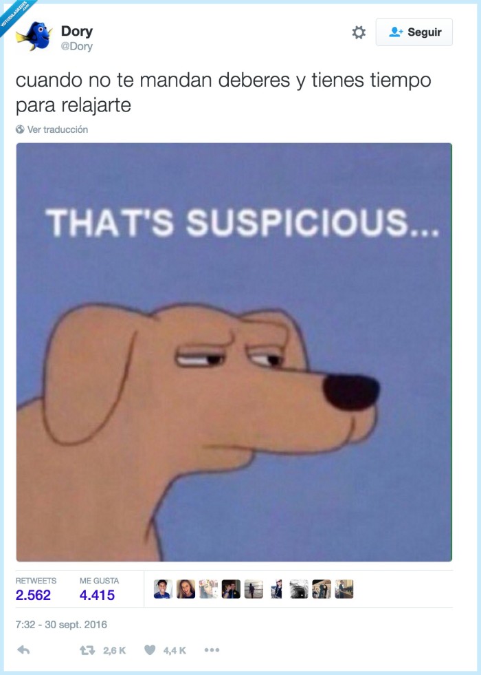 relax,deberes,tiempo