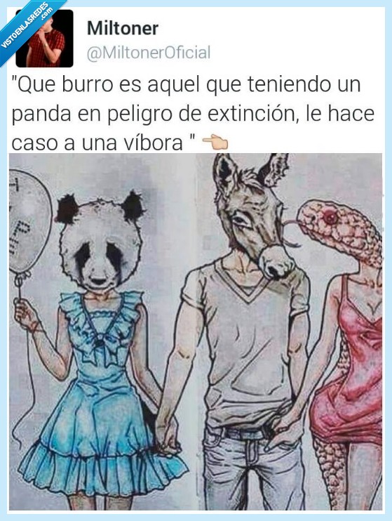 Burro,Panda,Víbora,Amor,¿Y por qué elige a la víbora?,¿Porqué la panda es panda?,¿Porqué la víbora se transformó en lo que es?,¿Tiene algo que ver la friendzone en todo esto?,Se aceptan debates en los comentarios,Empieza la guerra
