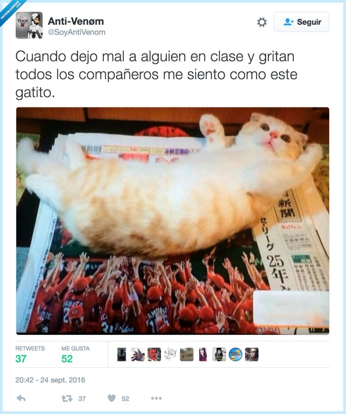 gato,idolo,aupar