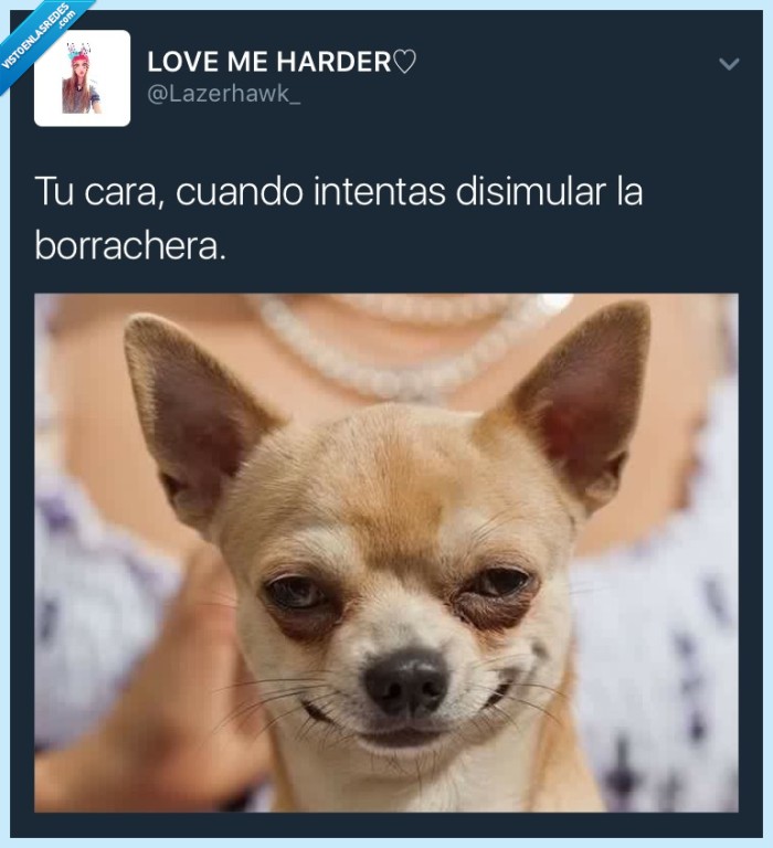 perro,borracho,carilla
