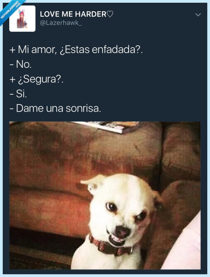 perro,enfadado