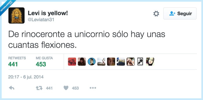 unicornio,rinoceronte,flexiones