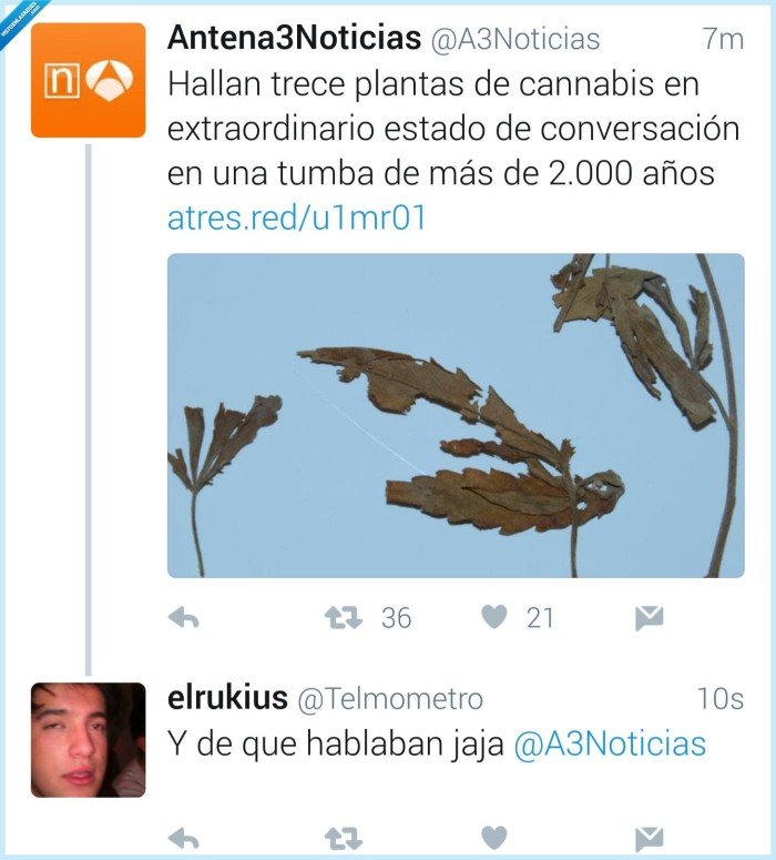 tumbas,conversación,fail