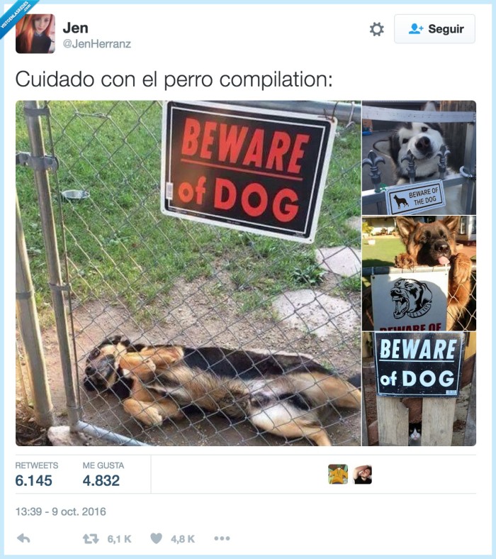 carteles,perros,agresivos