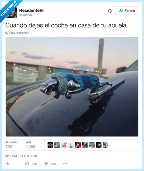 jaguar,abrigado,bufanda,tela,tejer,abuela