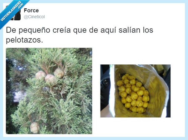 pelotazos,tweet,infancia,chico