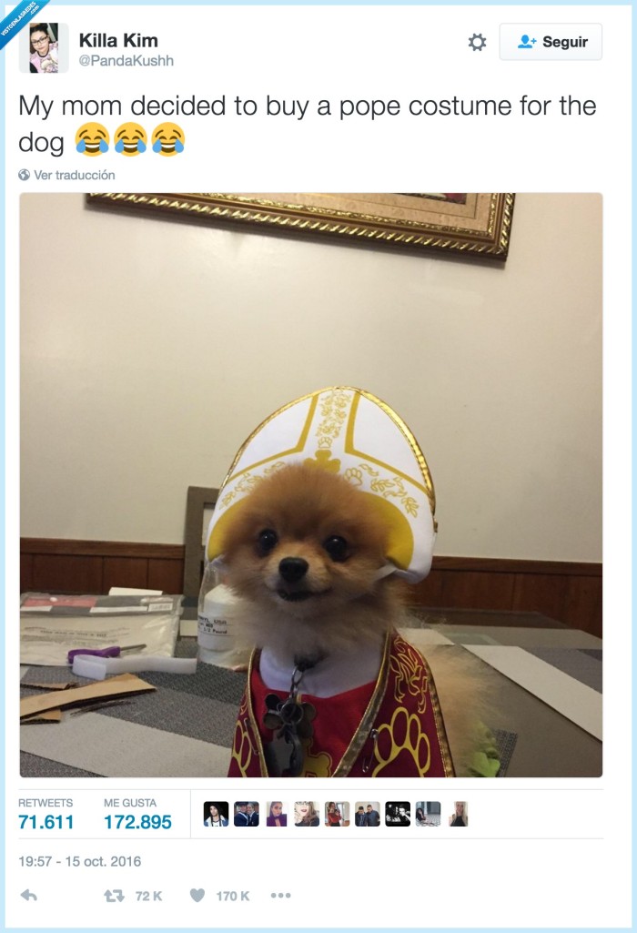 papa,vestido,perro