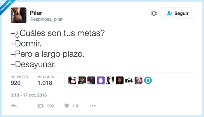 452778 - Metas en la vida, por @espinosa_pilar