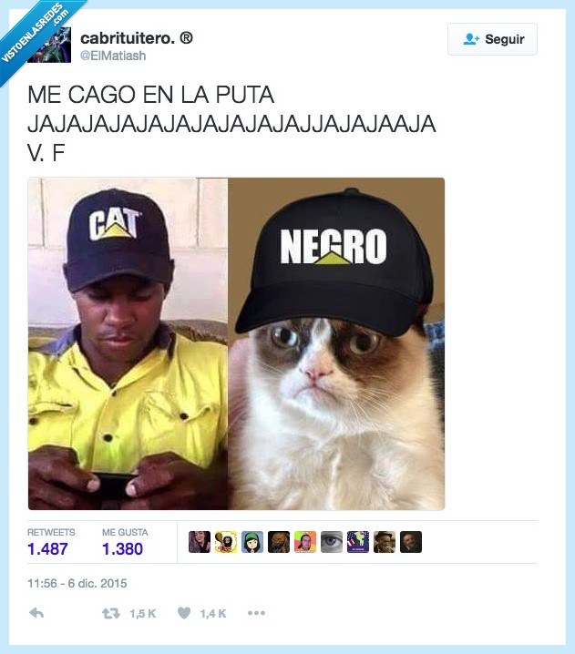 gato,negro,niigga,gorra