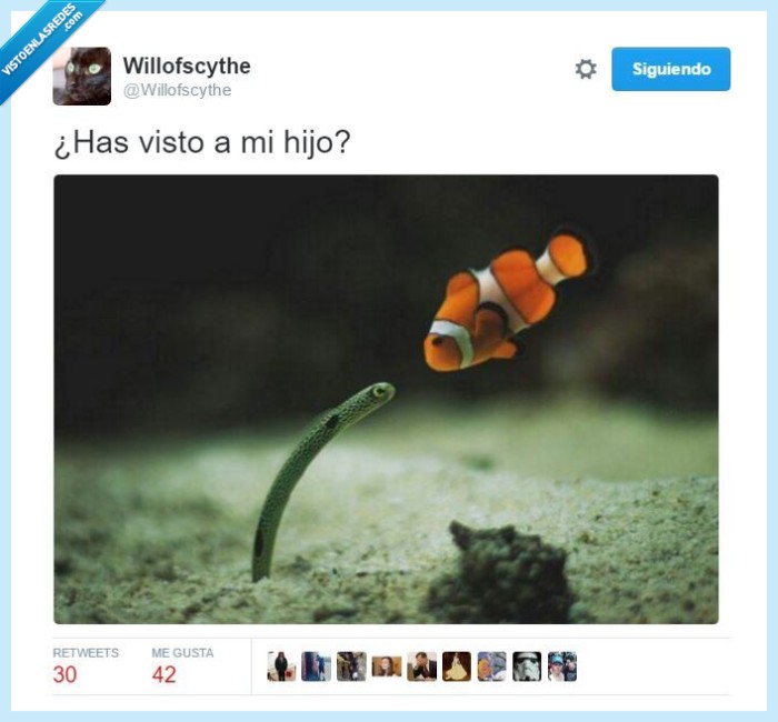 nemo,pez,hijo,pelicula,dibujos