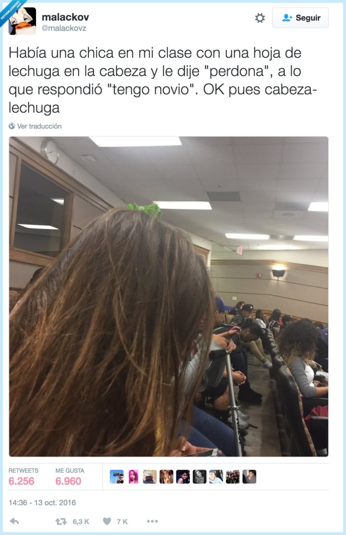 lechuga,cabeza,insolente