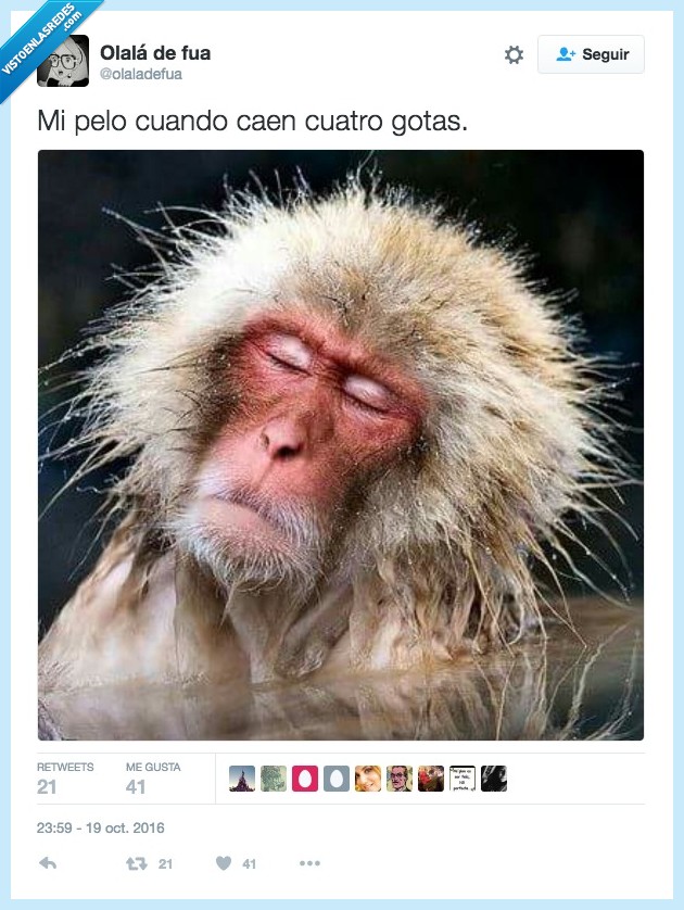 pelo,llover,encrespar