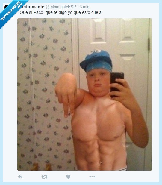 photoshop,cani,montaje,horrible