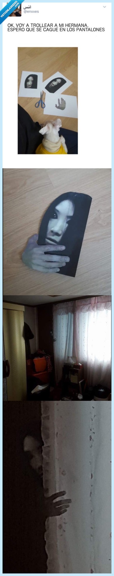 infarto,miedo,susto,troll