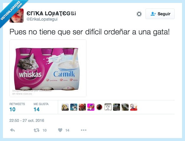 leche,gato,complicado