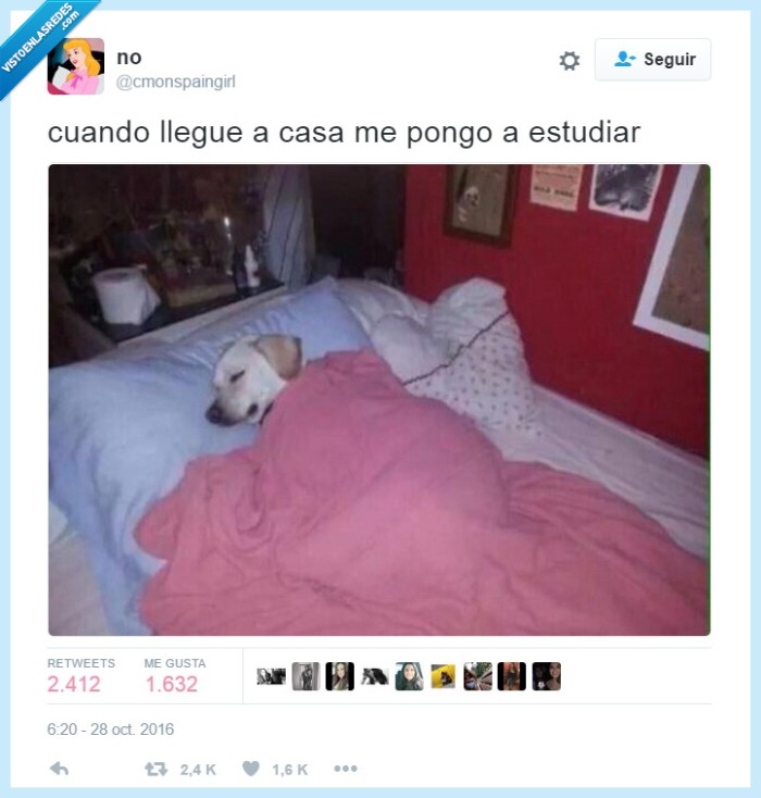 estudiar,dormir,sueño