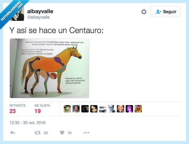 centauro,humano,caballo