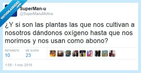 plantas,cultivar,oxígeno