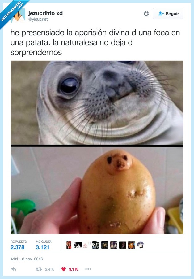 patata,foca,aparición