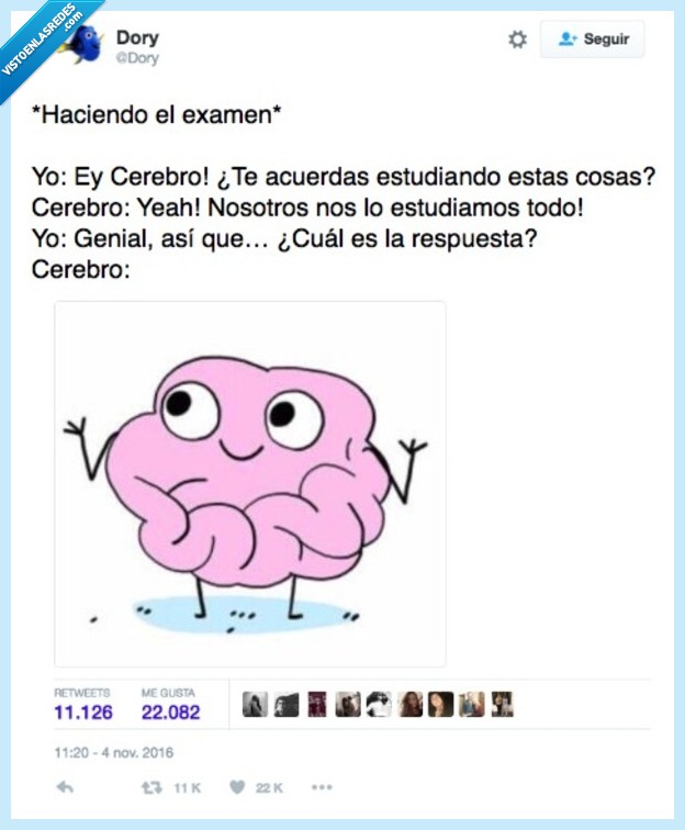 cerebro,exámenes,en blanco
