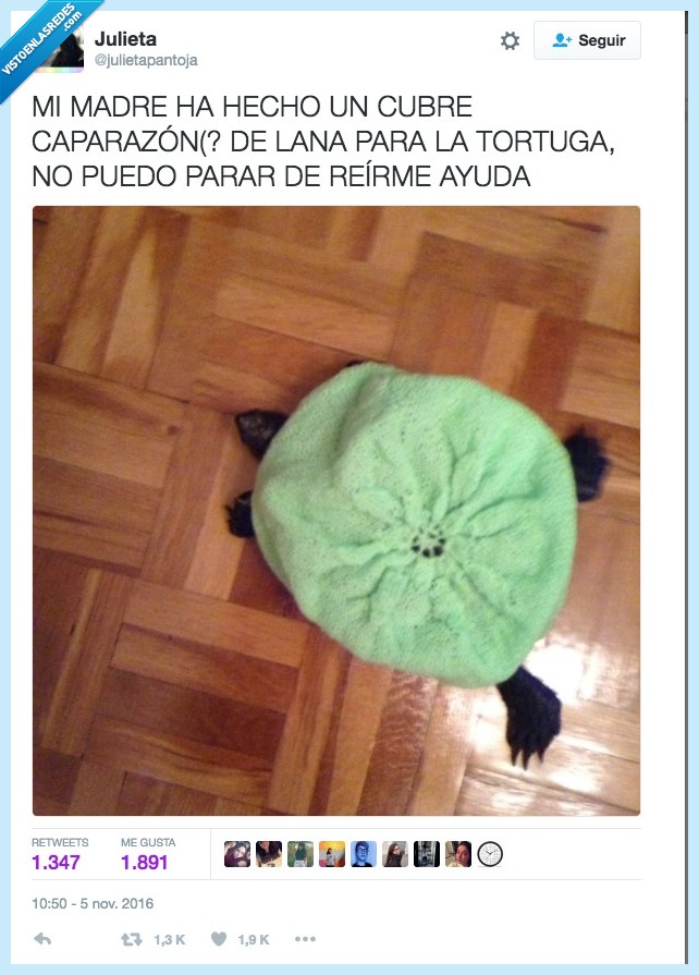 madre,frío,tortuga