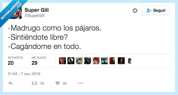 madrugar,pájaro,libre