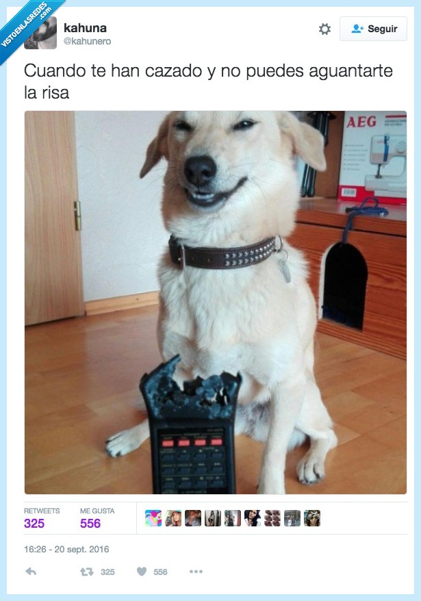 454439 - ¿Cómo se declara el acusado? CULPABLE @kahunero