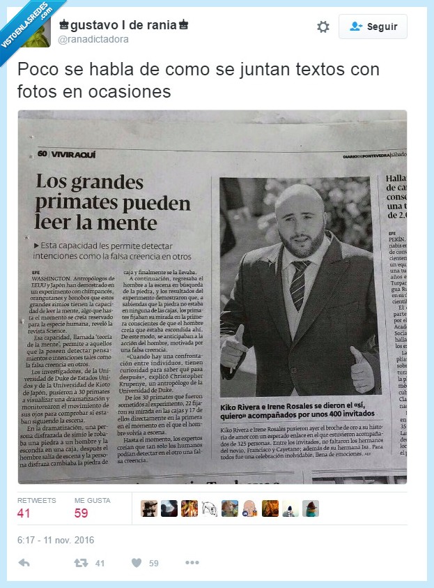 mono,paquirri,periódico,juntar textos