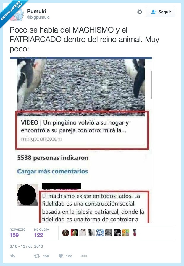 pingüino,feminismo,demasiado