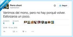 Enlace a INVOLUCIÓN por @perrochoni