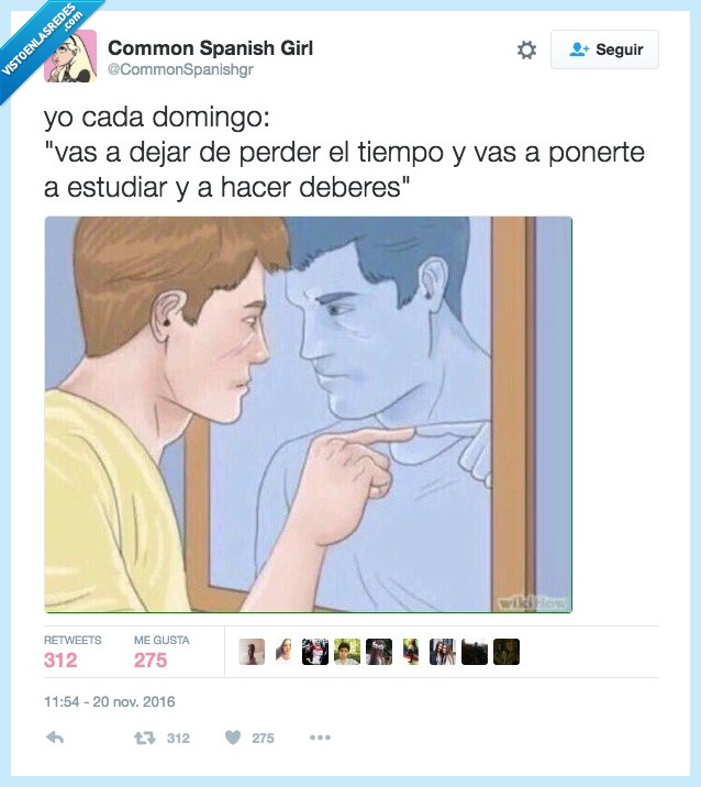 domingo,estudiar,deberes,perder tiempo