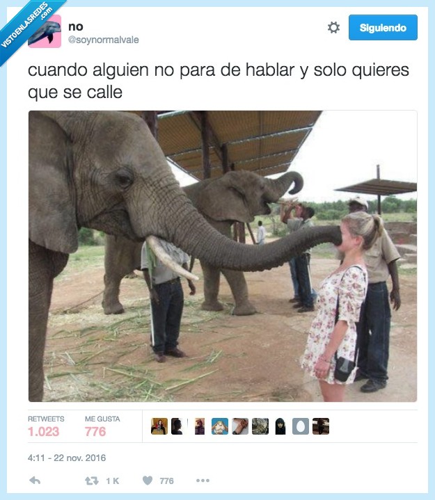 elefante,callar,versión