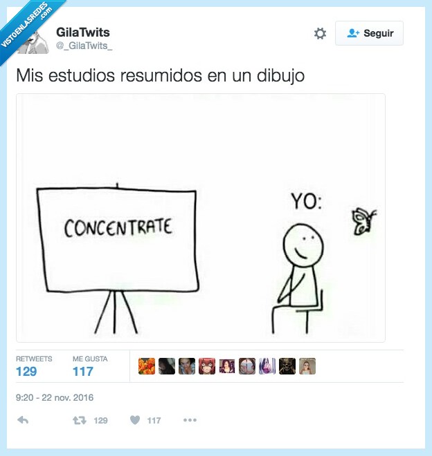 vida,estudios,concentraci&oacute;n