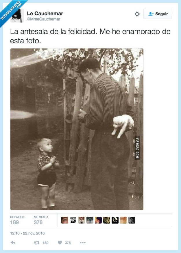 felicidad,cachorro,niño