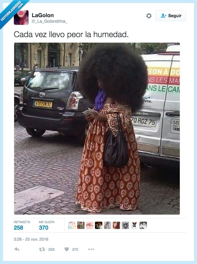 lluvia,encrespar,humedad,afro