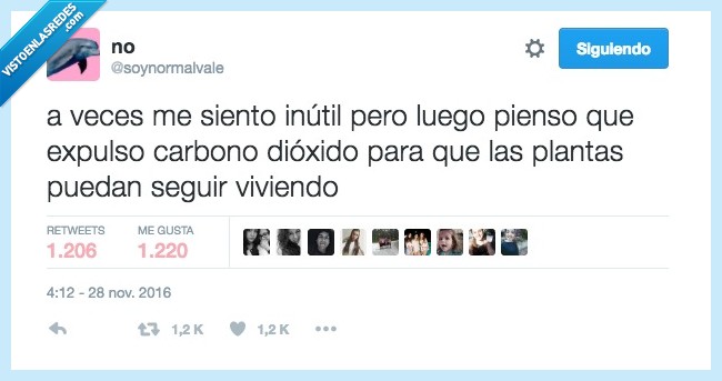 útil,plantas,dióxido