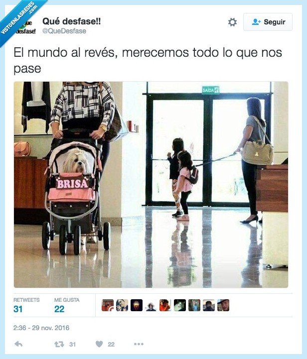perro,niña,se ha ido de madre