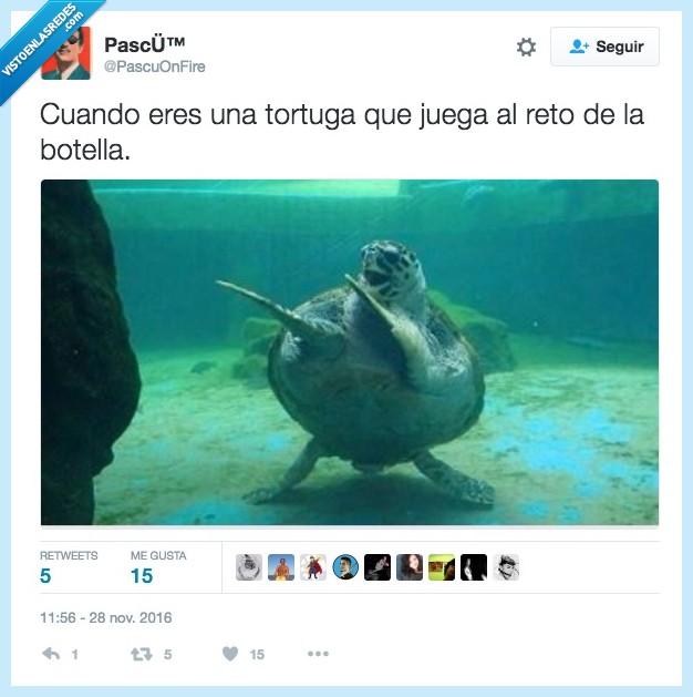 tortuga,reto de la botella